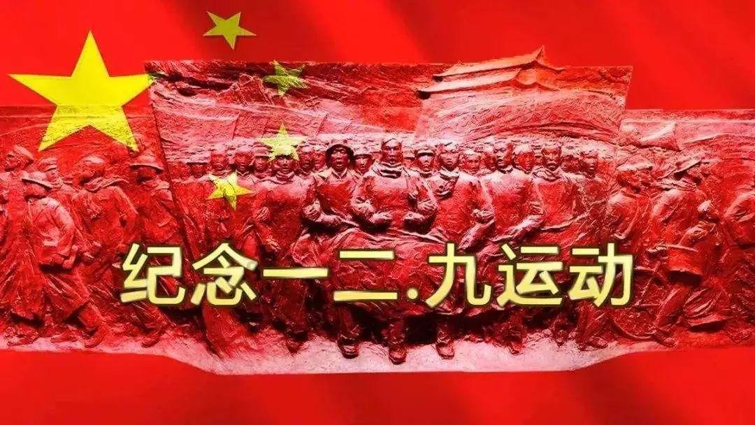 救援小棕兔
