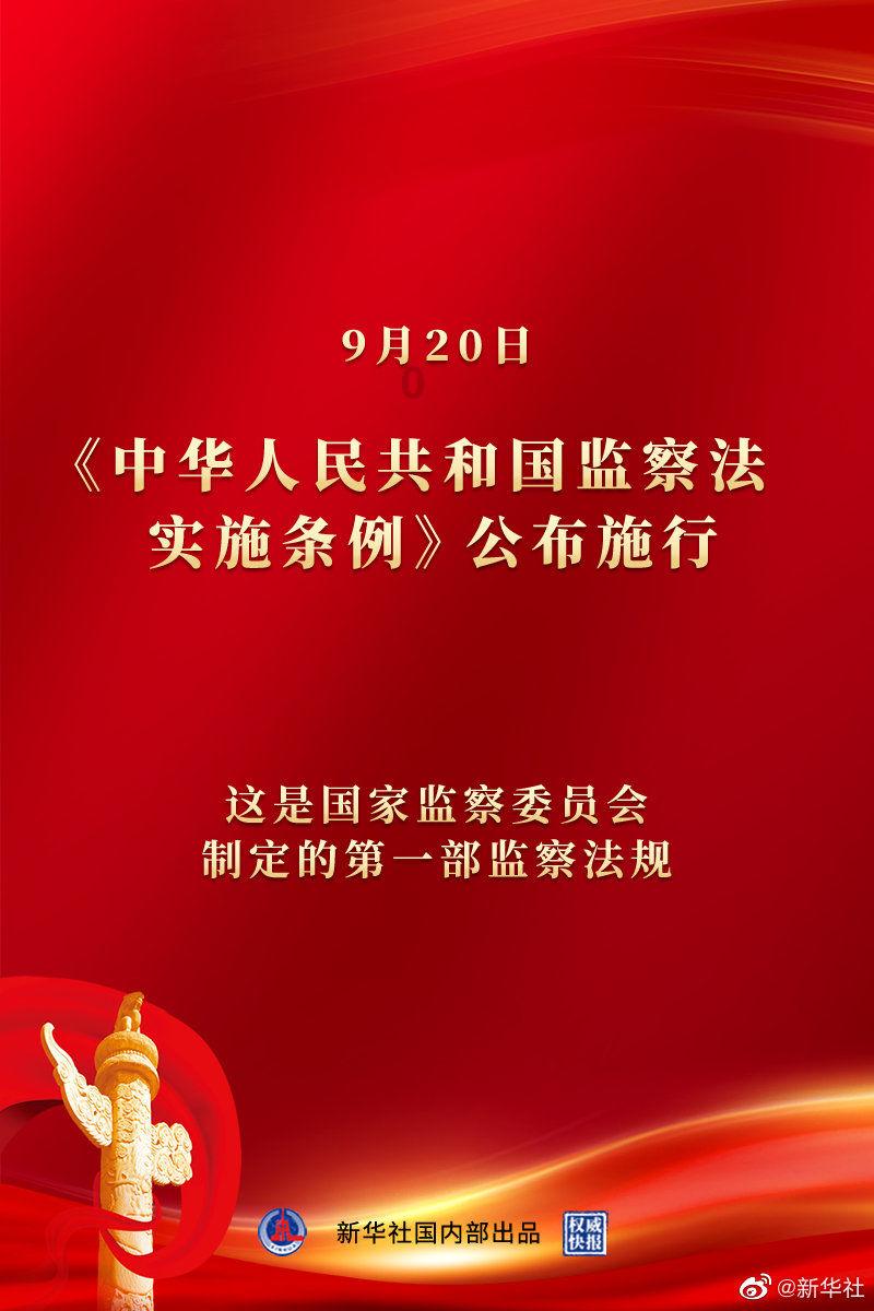 拯救穆尔小马