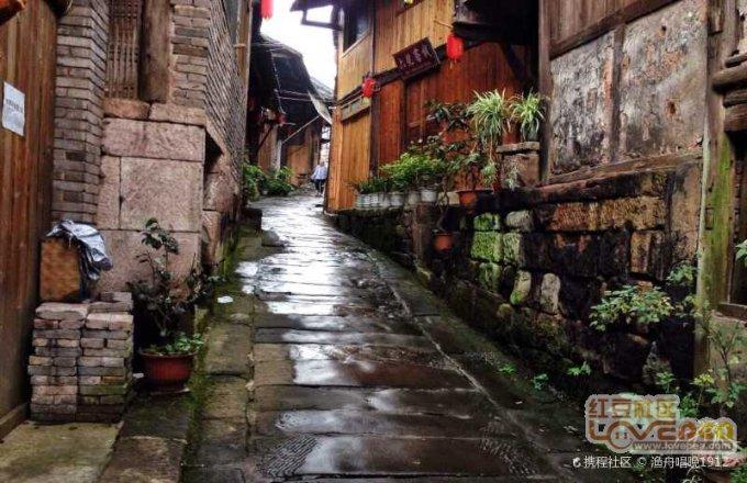 逃出蜜蜂岛
